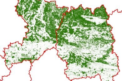 Триває робота із дешифрування космічних знімків території України для встановлення точної площі лісів