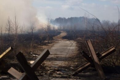 Ukraine will calculate losses of the State Forest Fund, as well as private forest users and users of hunting grounds as a result of the armed aggression of the russian federation