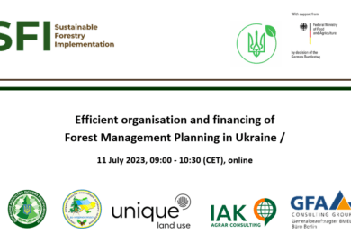 Robust information about forest resources and forestry is essential for sustainable development