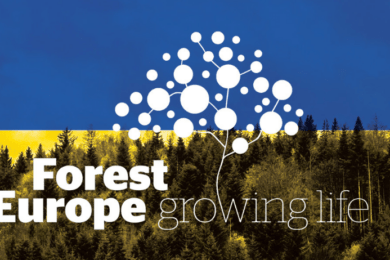 Liaison Unit Bonn of Forest Europe (LUBo) prepared a report about “Supporting the recovery and sustainable management of Ukrainian forests and Ukraine’s forest sector”