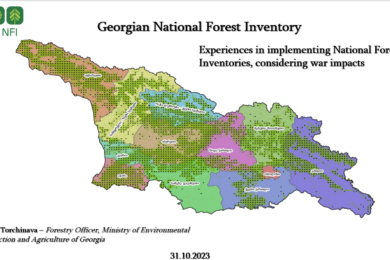 Challenges in implementing NFI in Ukraine and Georgia