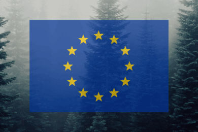 Україну визнано країною з низьким ризиком для експорту деревини до ЄС: підтвердження ефективності реформ і цифровізації лісової галузі