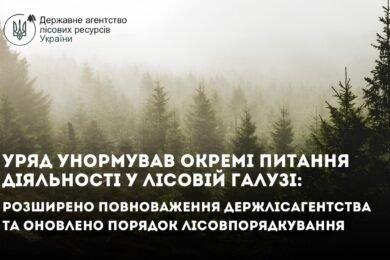 Держлісагентство може здійснювати огляд лісових ділянок перед видачею лісорубного квитка: Кабінет Міністрів України розширив повноваження Державне агентство лісових ресурсів України, а також оновив порядок лісовпорядкування