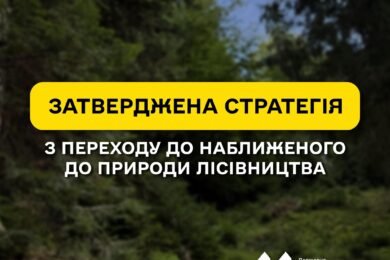 ДП “Ліси України” затвердило Стратегію з переходу до наближеного до природи лісівництва