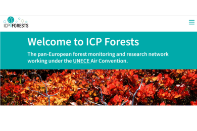 ICP Forests monitoring – international requirements and national advantages for Ukraine
