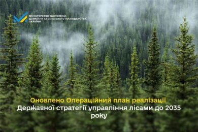 Оновлено Операційний план реалізації Державної стратегії управління лісами до 2035 року