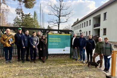 Німецькі лісівники зацікавилися експортним потенціалом українського насіння та сіянців