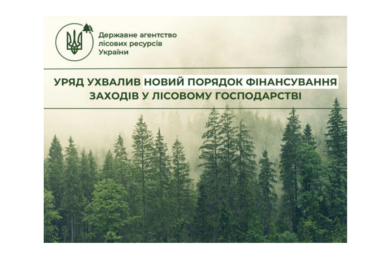 The government has approved new procedures for funding forestry initiatives