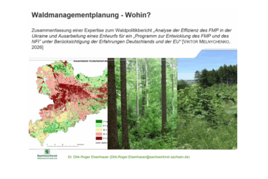 Modern forest management requires efficient forest management planning (FMP) methods