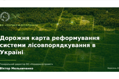 Modern Technologies in Forest Management Planning – inline with EU experiences and requirements